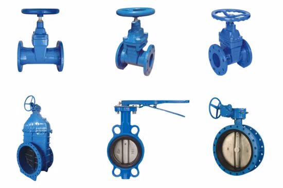 Fournisseur de vanne de commande de vanne à vanne de haute qualité Vanne à vanne en fonte ductile Di