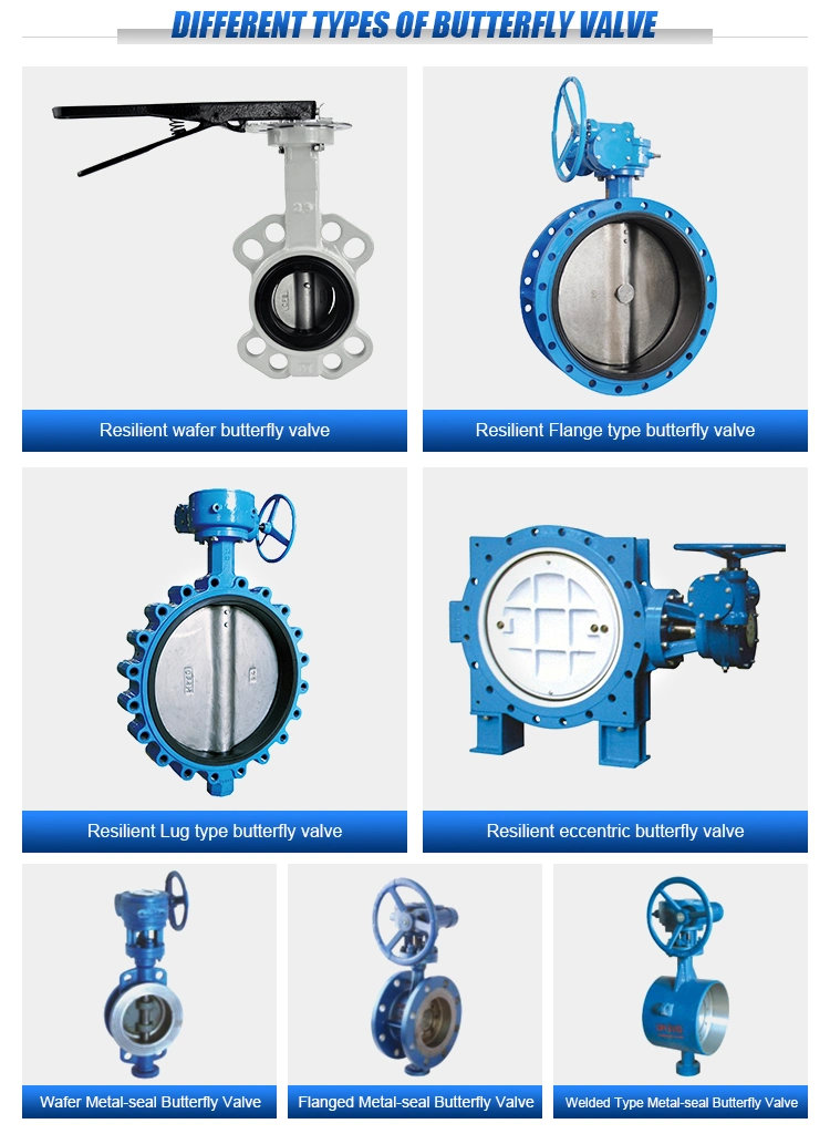 Ductile Iron Soft Seal Concentric Electric Butterfly Valve for Flow Control China Tianjin Ots