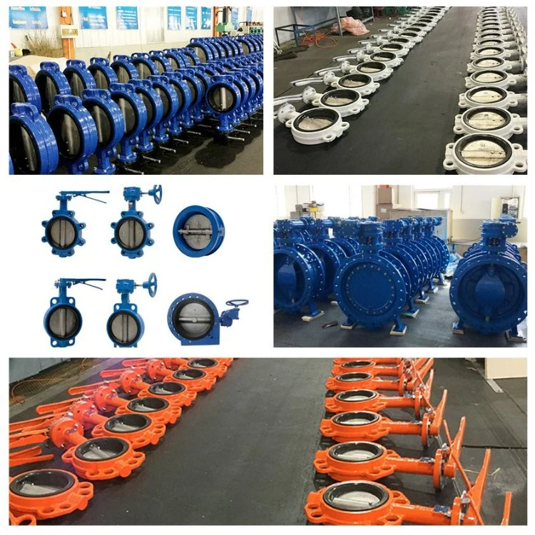 DN50 up to DN2000 150lb Worm Gear Operated Flange Stainless Steel Wafer Type Triple Offset Butterfly Valve